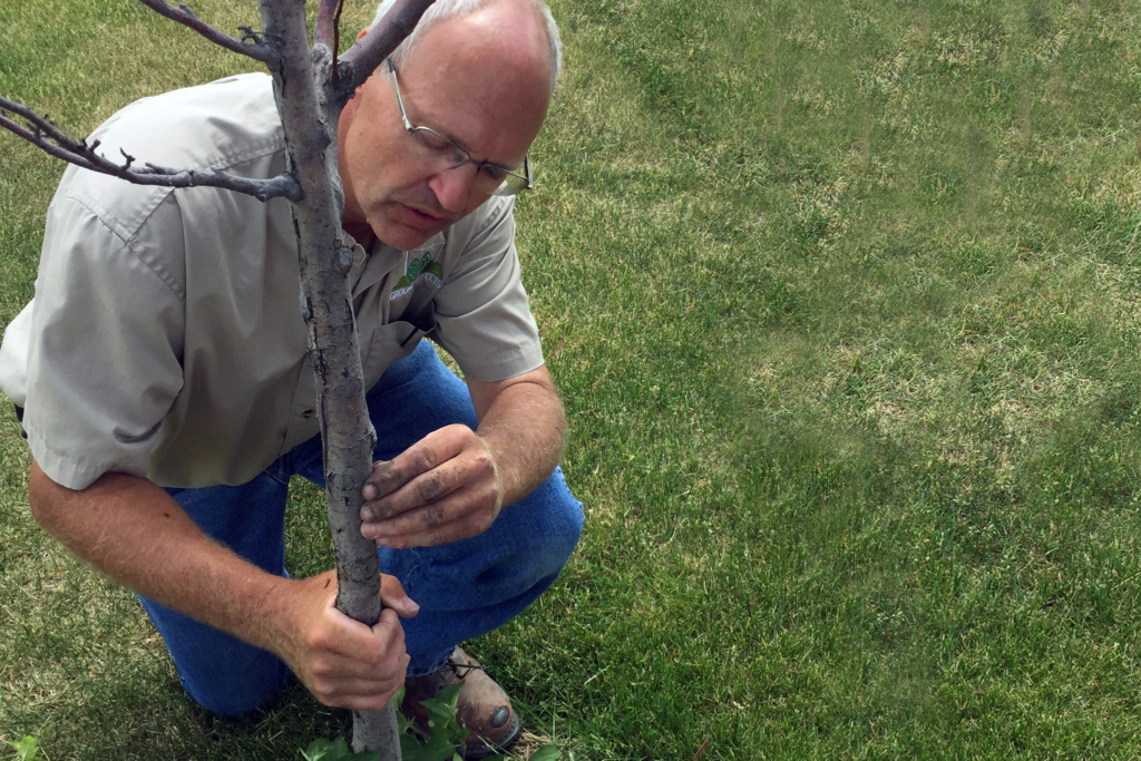 Ground Effects Landscape Maintenance