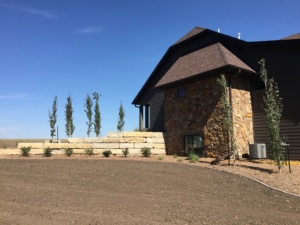 Ledgestone Wall - Elm Creek