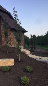 Ledgestone Wall - Elm Creek