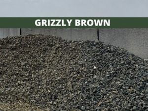 grizzly-brown