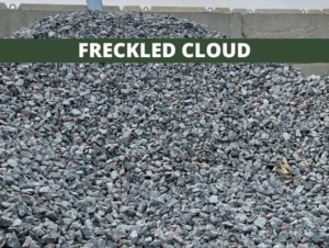 freckled-cloud