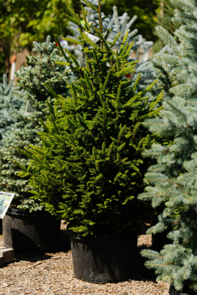 GroundEffectsGardenCenter-54