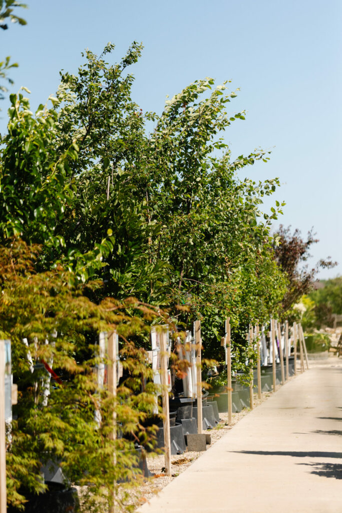 GroundEffectsGardenCenter-58